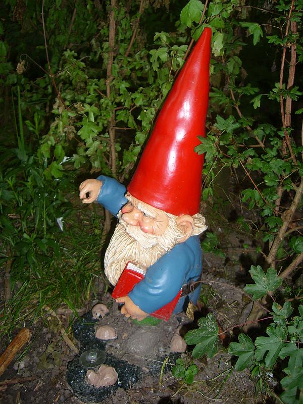 070612 skoalreiske beukers 030.jpg
